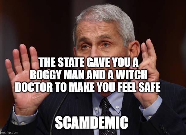 anthony fauci | THE STATE GAVE YOU A BOGGY MAN AND A WITCH DOCTOR TO MAKE YOU FEEL SAFE; SCAMDEMIC | image tagged in anthony fauci | made w/ Imgflip meme maker