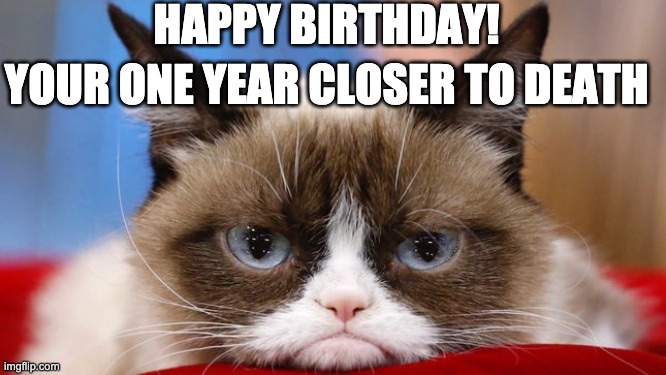 grumpy cat | HAPPY BIRTHDAY! YOUR ONE YEAR CLOSER TO DEATH | image tagged in cool cat,grumpy cat,mad cat | made w/ Imgflip meme maker