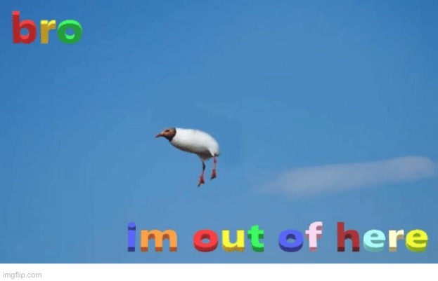Bro I'm out of here | image tagged in bro i'm out of here | made w/ Imgflip meme maker