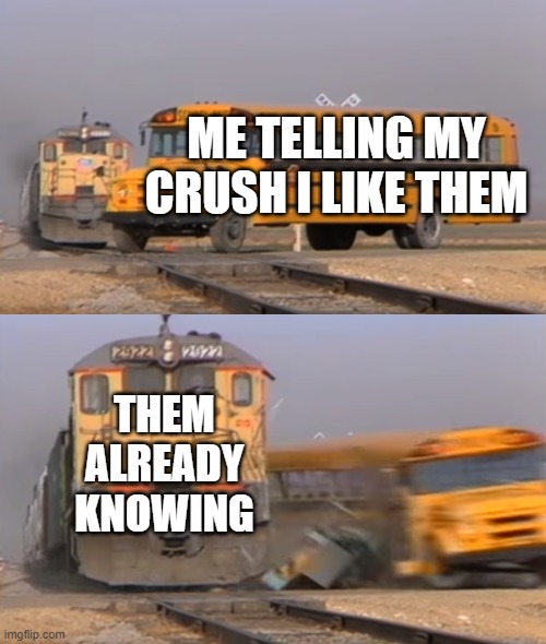 They liked meh back tho | ME TELLING MY CRUSH I LIKE THEM; THEM ALREADY KNOWING | image tagged in memes | made w/ Imgflip meme maker