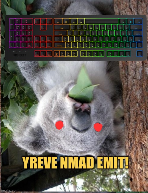 YREVE NMAD EMIT! | made w/ Imgflip meme maker