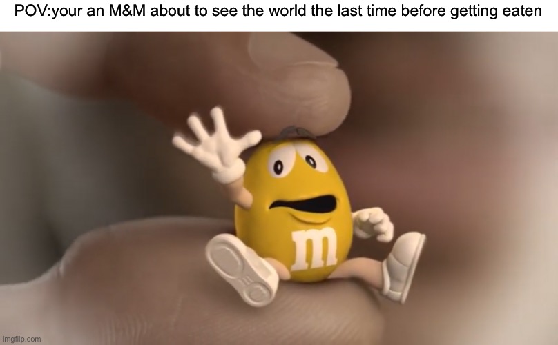 POV:your an M&M about to see the world the last time before getting eaten | made w/ Imgflip meme maker