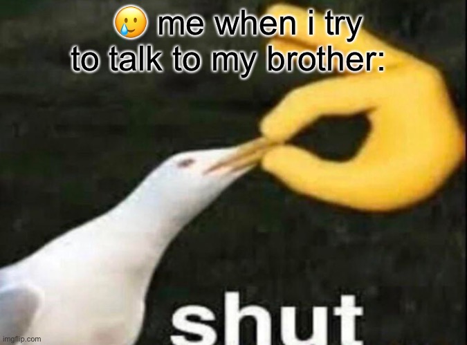 SHUT | 🥲 me when i try to talk to my brother: | image tagged in shut | made w/ Imgflip meme maker
