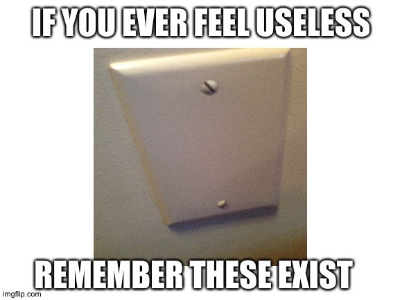 Hi I am useless | IF YOU EVER FEEL USELESS; REMEMBER THESE EXIST | image tagged in useless | made w/ Imgflip meme maker