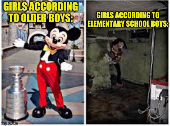 eeeeewwwww theyre in LOVE! | GIRLS ACCORDING TO ELEMENTARY SCHOOL BOYS:; GIRLS ACCORDING TO OLDER BOYS: | image tagged in mickey mouse in disneyland | made w/ Imgflip meme maker