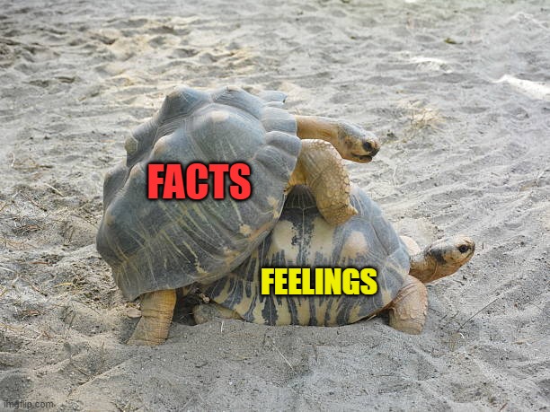 FACTS FEELINGS | made w/ Imgflip meme maker