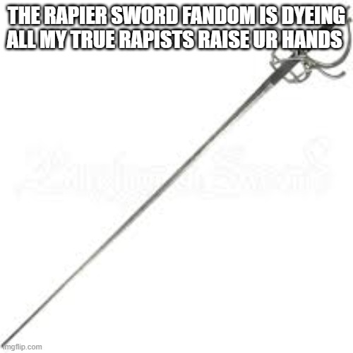 THE RAPIER SWORD FANDOM IS DYEING ALL MY TRUE RAPISTS RAISE UR HANDS | made w/ Imgflip meme maker