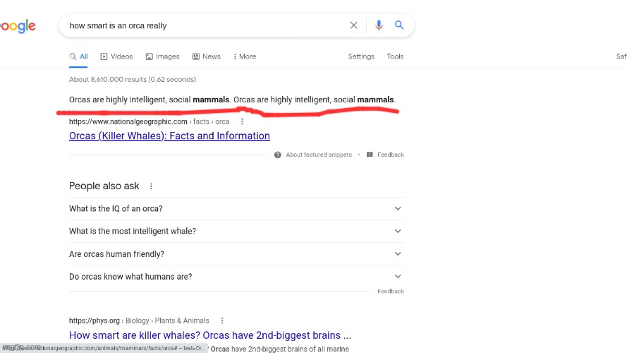 we get it alright? WE GET it | image tagged in funny | made w/ Imgflip meme maker
