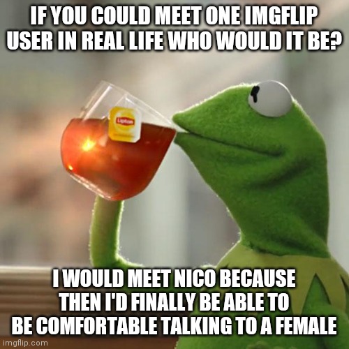 I hate social interaction with females | IF YOU COULD MEET ONE IMGFLIP USER IN REAL LIFE WHO WOULD IT BE? I WOULD MEET NICO BECAUSE THEN I'D FINALLY BE ABLE TO BE COMFORTABLE TALKING TO A FEMALE | image tagged in memes,but that's none of my business,kermit the frog | made w/ Imgflip meme maker