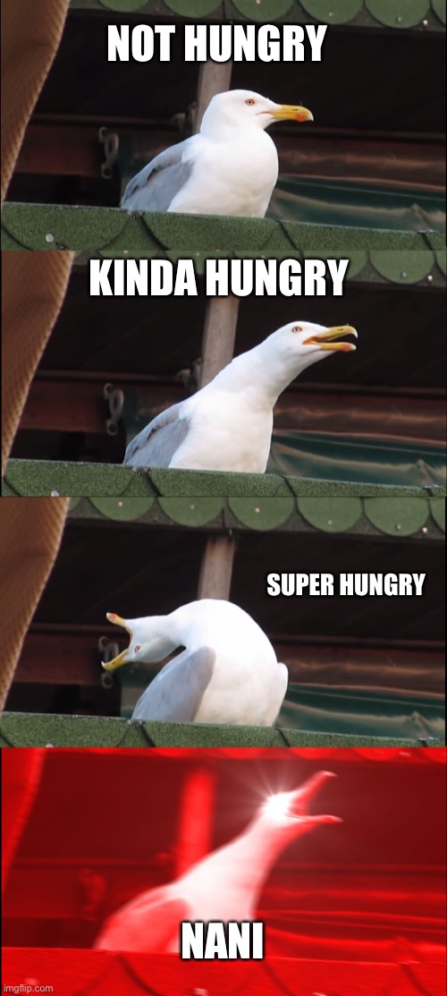 Getting so hungry | NOT HUNGRY; KINDA HUNGRY; SUPER HUNGRY; NANI | image tagged in memes,inhaling seagull | made w/ Imgflip meme maker