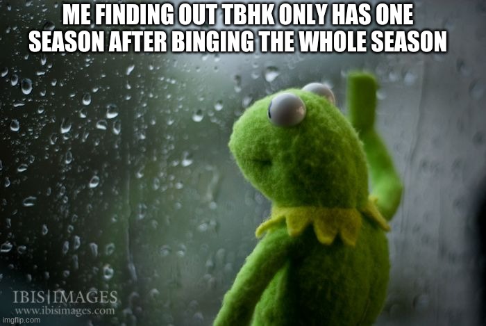 I just found out and now im sad :( | ME FINDING OUT TBHK ONLY HAS ONE SEASON AFTER BINGING THE WHOLE SEASON | image tagged in kermit window,tbhk | made w/ Imgflip meme maker