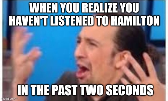 My Alexa is hogged :p | WHEN YOU REALIZE YOU HAVEN'T LISTENED TO HAMILTON; IN THE PAST TWO SECONDS | image tagged in hamilton what | made w/ Imgflip meme maker