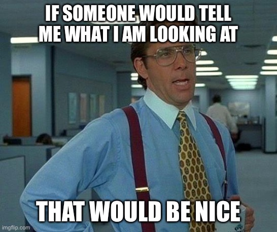 That Would Be Great Meme | IF SOMEONE WOULD TELL ME WHAT I AM LOOKING AT THAT WOULD BE NICE | image tagged in memes,that would be great | made w/ Imgflip meme maker