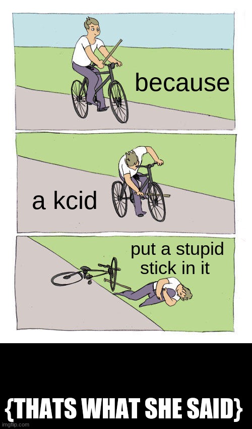 Bike Fall Meme | because a kcid put a stupid stick in it {THATS WHAT SHE SAID} | image tagged in memes,bike fall | made w/ Imgflip meme maker