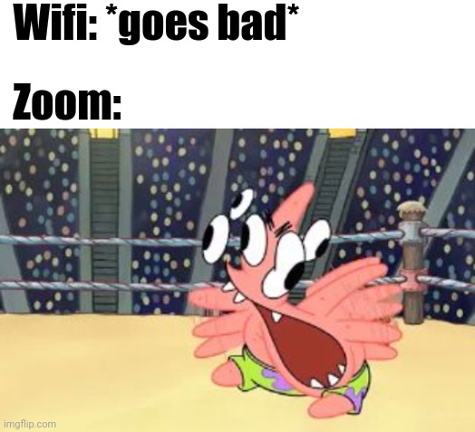 Wifi: *goes bad*; Zoom: | image tagged in blank white template | made w/ Imgflip meme maker
