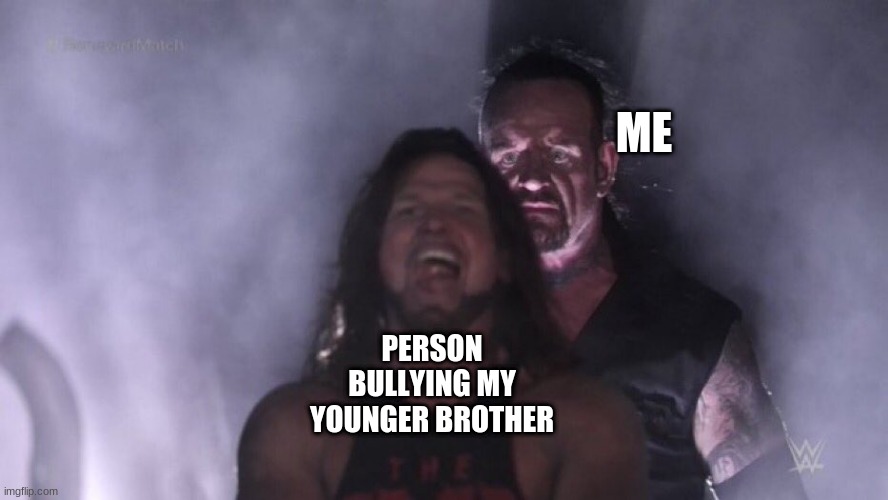 AJ Styles & Undertaker | ME; PERSON BULLYING MY YOUNGER BROTHER | image tagged in aj styles undertaker | made w/ Imgflip meme maker