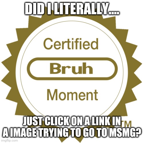 Breh | DID I LITERALLY.... JUST CLICK ON A LINK IN A IMAGE TRYING TO GO TO MSMG? | image tagged in certified bruh moment | made w/ Imgflip meme maker