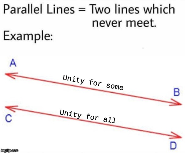 Political social | Unity for some; Unity for all | image tagged in parallel lines,social,choice,unite | made w/ Imgflip meme maker
