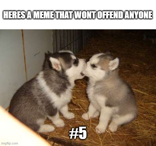 Heres a meme that wont offend anyone #5 | HERES A MEME THAT WONT OFFEND ANYONE; #5 | image tagged in memes,cute puppies | made w/ Imgflip meme maker