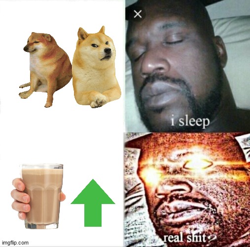 after i use images | image tagged in memes,sleeping shaq | made w/ Imgflip meme maker