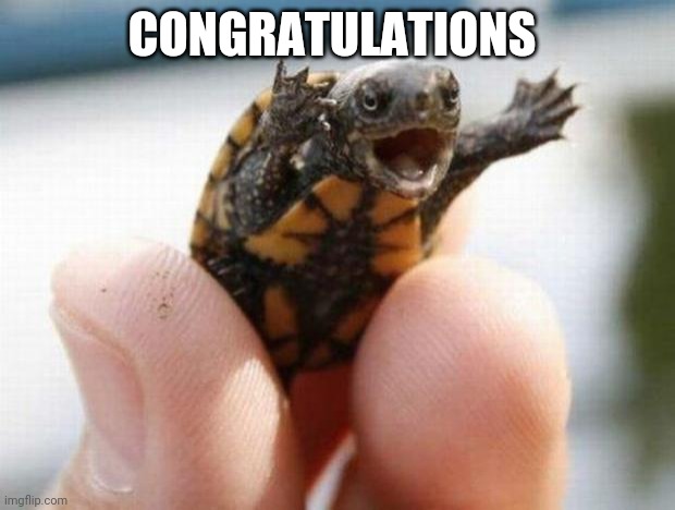happy baby turtle | CONGRATULATIONS | image tagged in happy baby turtle | made w/ Imgflip meme maker