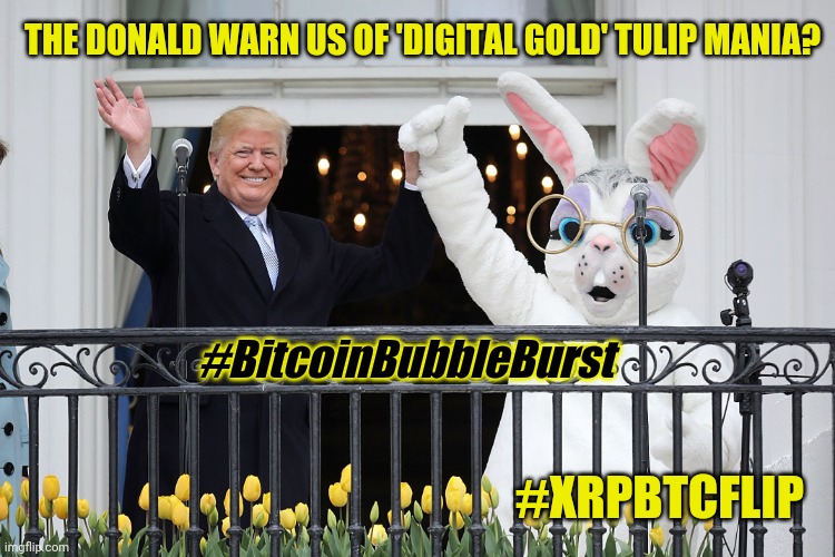 Prepare for the Gold backed Quantum Financial Sysyem. #LevelPlayingField via Digital #GoldQFS | THE DONALD WARN US OF 'DIGITAL GOLD' TULIP MANIA? #BitcoinBubbleBurst; #XRPBTCFLIP | image tagged in tippy top shape,bitcoin,cryptocurrency,ripple,xrp,happy easter | made w/ Imgflip meme maker