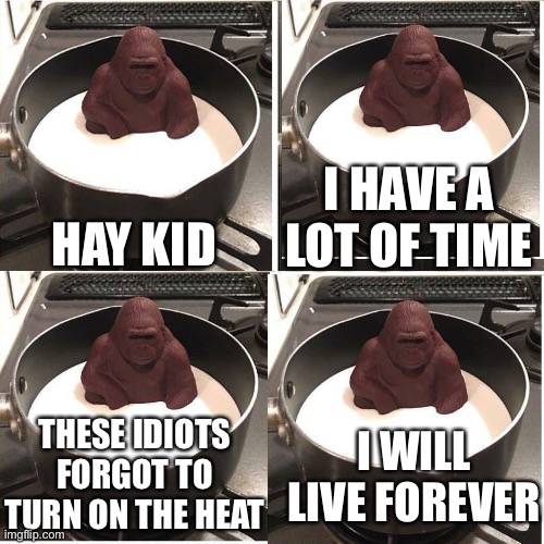 Yes |  HAY KID; I HAVE A LOT OF TIME; THESE IDIOTS FORGOT TO TURN ON THE HEAT; I WILL LIVE FOREVER | image tagged in chocolate gorilla,memes,Superstonk | made w/ Imgflip meme maker