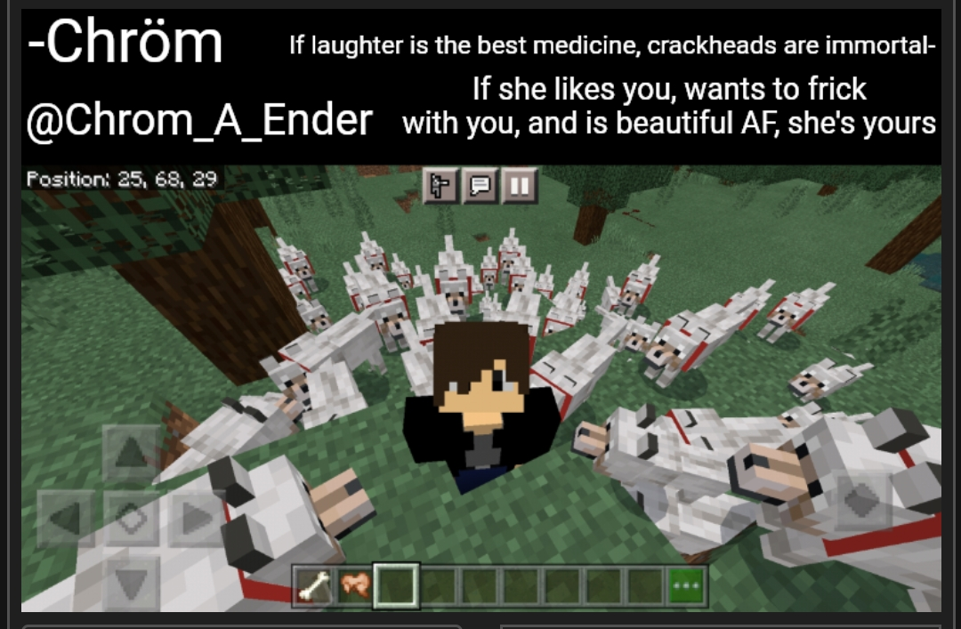 Chrom_A_Ender announcement template Blank Meme Template