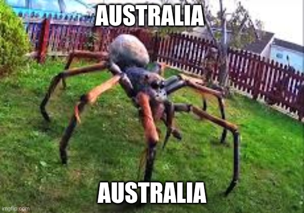 AUSTRALIA | AUSTRALIA; AUSTRALIA | image tagged in ohgodthatsabigassspider | made w/ Imgflip meme maker