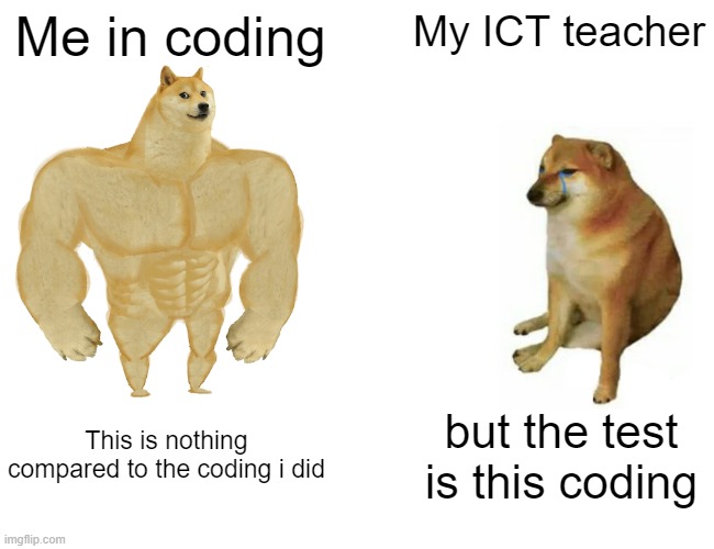 Me vs. my ICT teacher | Me in coding; My ICT teacher; This is nothing compared to the coding i did; but the test is this coding | image tagged in memes,buff doge vs cheems | made w/ Imgflip meme maker