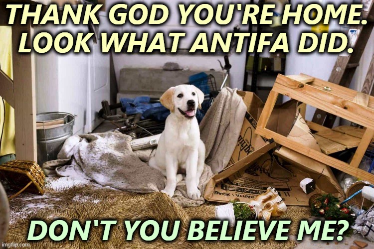 No. | THANK GOD YOU'RE HOME.
LOOK WHAT ANTIFA DID. DON'T YOU BELIEVE ME? | image tagged in right wing,rioters,phony,excuses | made w/ Imgflip meme maker