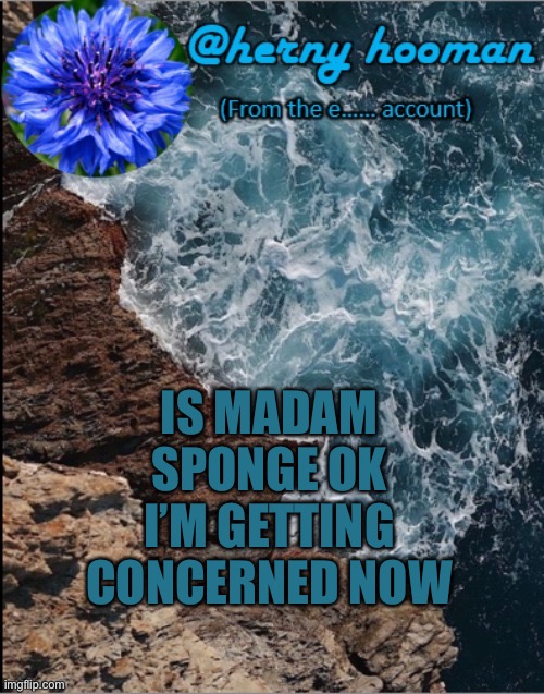 ;-;~ | IS MADAM SPONGE OK I’M GETTING CONCERNED NOW | image tagged in herny hooman | made w/ Imgflip meme maker