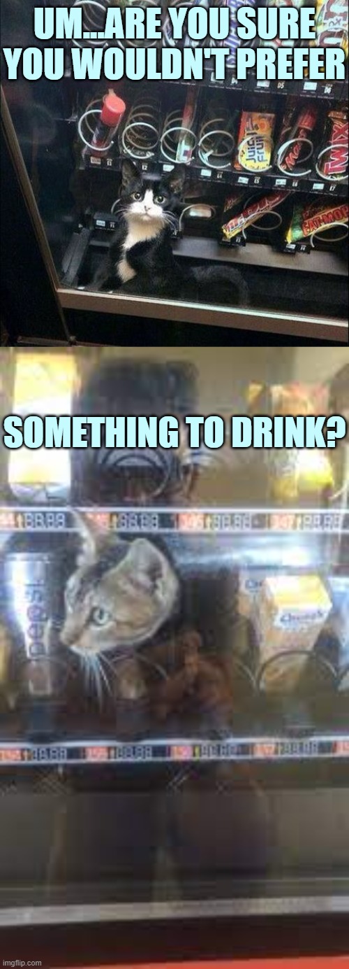 UM...ARE YOU SURE YOU WOULDN'T PREFER SOMETHING TO DRINK? | made w/ Imgflip meme maker