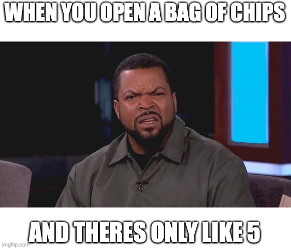 Really? Ice Cube | WHEN YOU OPEN A BAG OF CHIPS; AND THERES ONLY LIKE 5 | image tagged in really ice cube | made w/ Imgflip meme maker