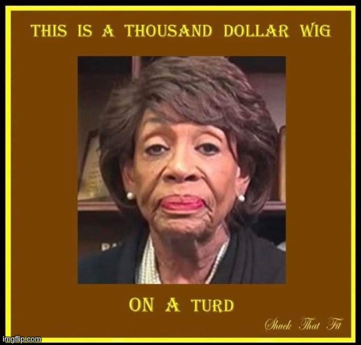 Maxine Waters | image tagged in maxine waters,democrat,memes,turd | made w/ Imgflip meme maker