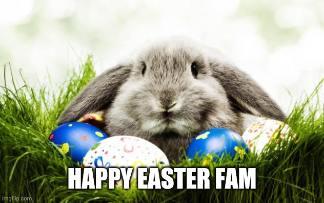 Happy Easter! | HAPPY EASTER FAM | image tagged in easter bunny,easter | made w/ Imgflip meme maker