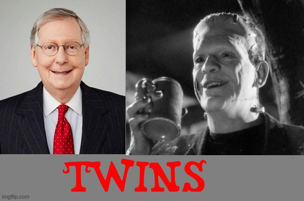 TWINS | image tagged in mitch mcconnell | made w/ Imgflip meme maker