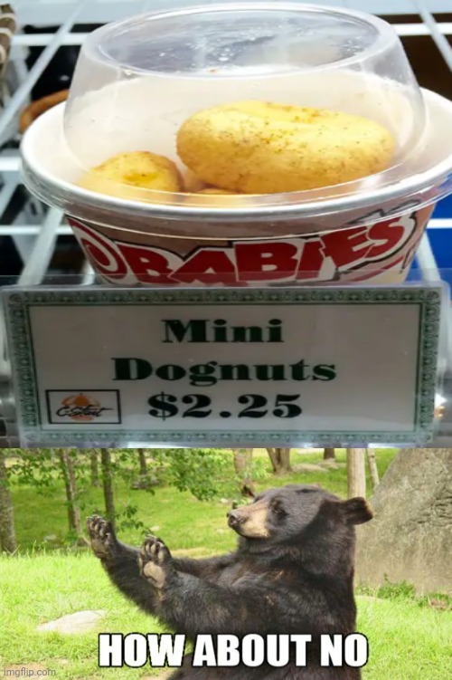 that undoubtedly sounds gross | image tagged in memes,how about no bear | made w/ Imgflip meme maker