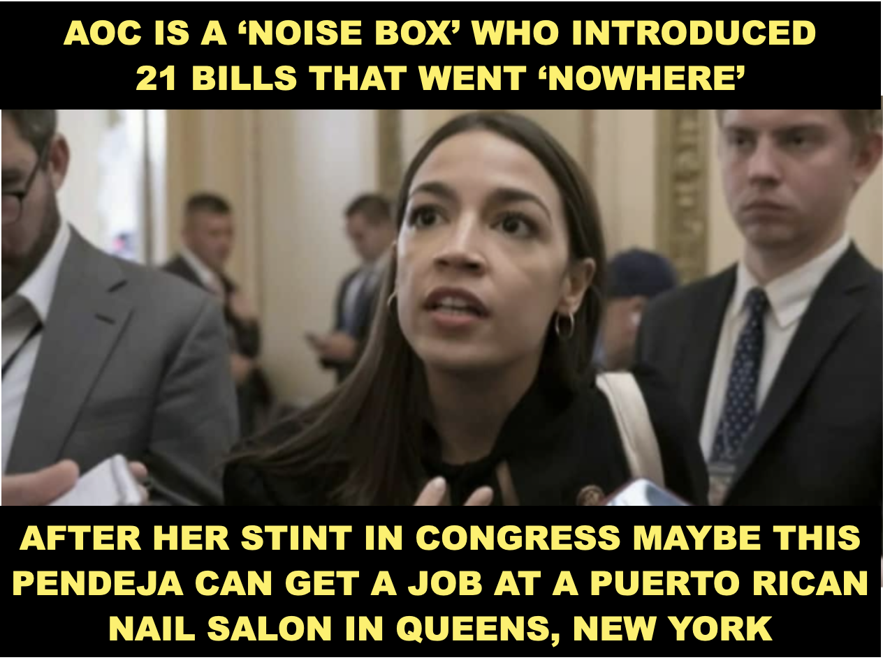 High Quality AOC Idiot Blank Meme Template