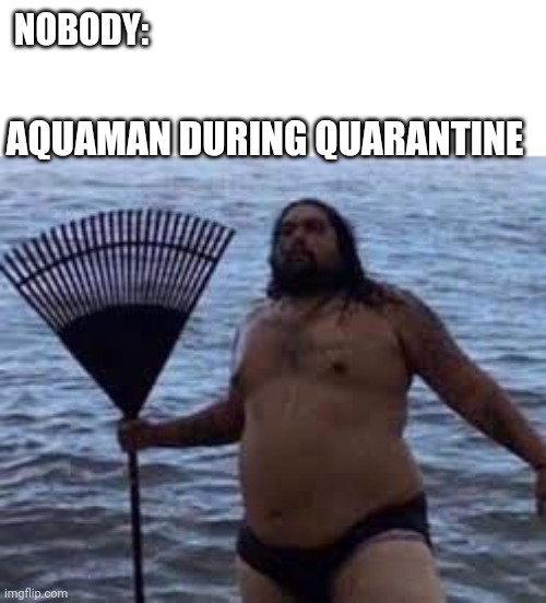 NOBODY:; AQUAMAN DURING QUARANTINE | made w/ Imgflip meme maker