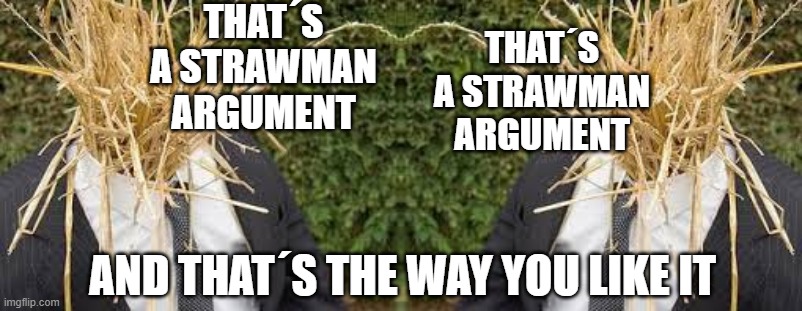 Your strawman argument is a strawman argument | THAT´S A STRAWMAN ARGUMENT; THAT´S A STRAWMAN ARGUMENT; AND THAT´S THE WAY YOU LIKE IT | image tagged in strawman,left,right,liberal vs conservative | made w/ Imgflip meme maker