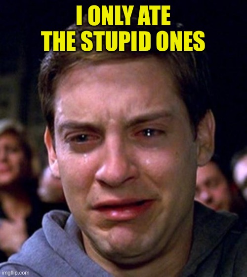 crying peter parker | I ONLY ATE THE STUPID ONES | image tagged in crying peter parker | made w/ Imgflip meme maker