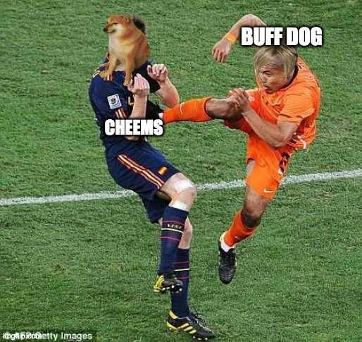 Buff VS Cheems In Soccer | BUFF DOG; CHEEMS | image tagged in soccer | made w/ Imgflip meme maker