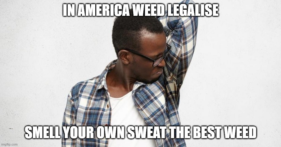 why spend money on weed | IN AMERICA WEED LEGALISE; SMELL YOUR OWN SWEAT THE BEST WEED | image tagged in memes | made w/ Imgflip meme maker