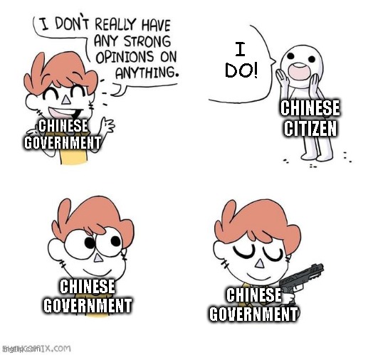 The Chinese government: | I DO! CHINESE GOVERNMENT; CHINESE CITIZEN; CHINESE GOVERNMENT; CHINESE GOVERNMENT | image tagged in i don't really have strong opinions,memes,china | made w/ Imgflip meme maker