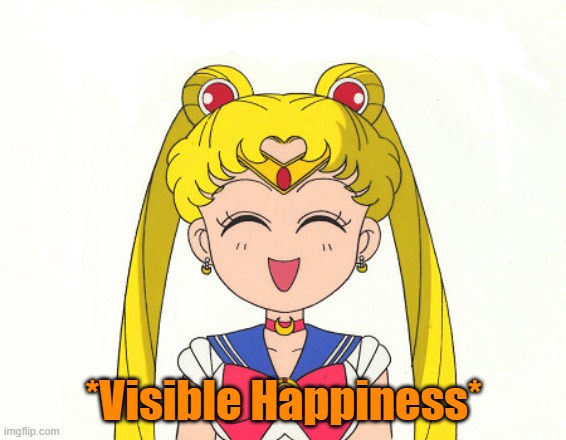 *Visible Happiness* | made w/ Imgflip meme maker