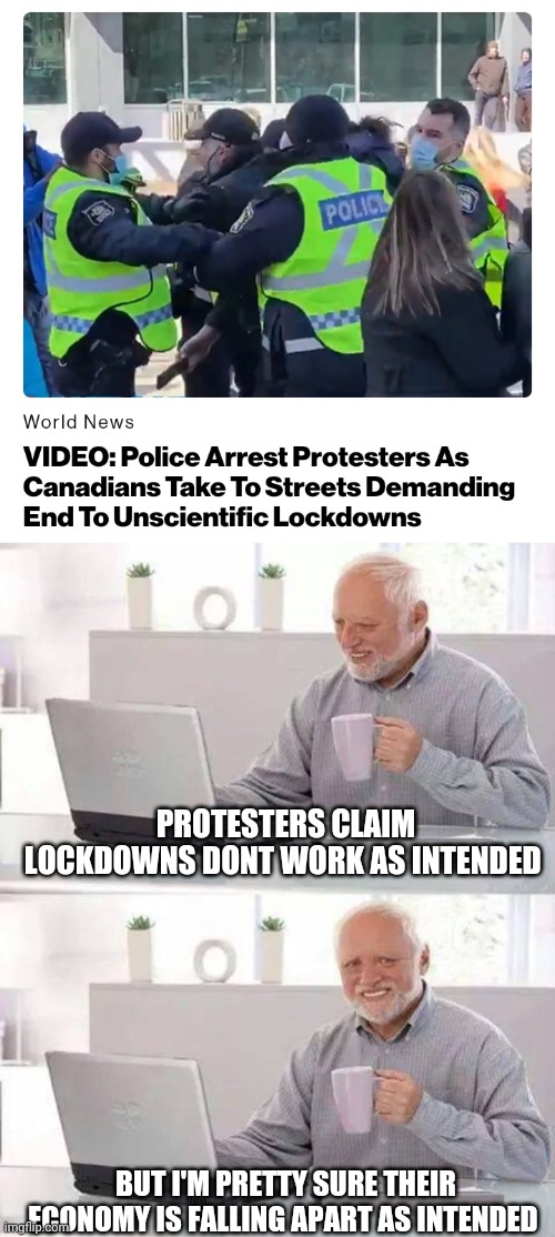 Politics and stuff | PROTESTERS CLAIM LOCKDOWNS DONT WORK AS INTENDED; BUT I'M PRETTY SURE THEIR ECONOMY IS FALLING APART AS INTENDED | image tagged in memes,hide the pain harold | made w/ Imgflip meme maker