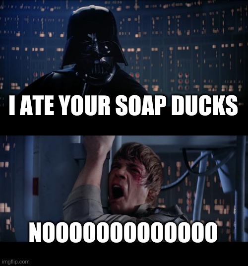 soap ducks | I ATE YOUR SOAP DUCKS; NOOOOOOOOOOOOO | image tagged in memes,star wars no | made w/ Imgflip meme maker