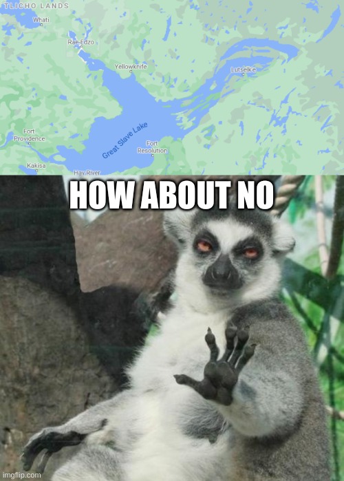 Oh god, i don't want to know this history of that lake... | HOW ABOUT NO | image tagged in memes,stoner lemur | made w/ Imgflip meme maker