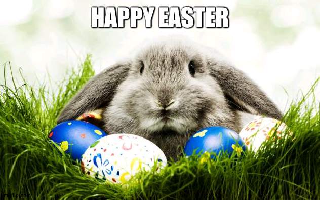 Ya know my family has a sweet tooth | HAPPY EASTER | image tagged in easter bunny,family | made w/ Imgflip meme maker